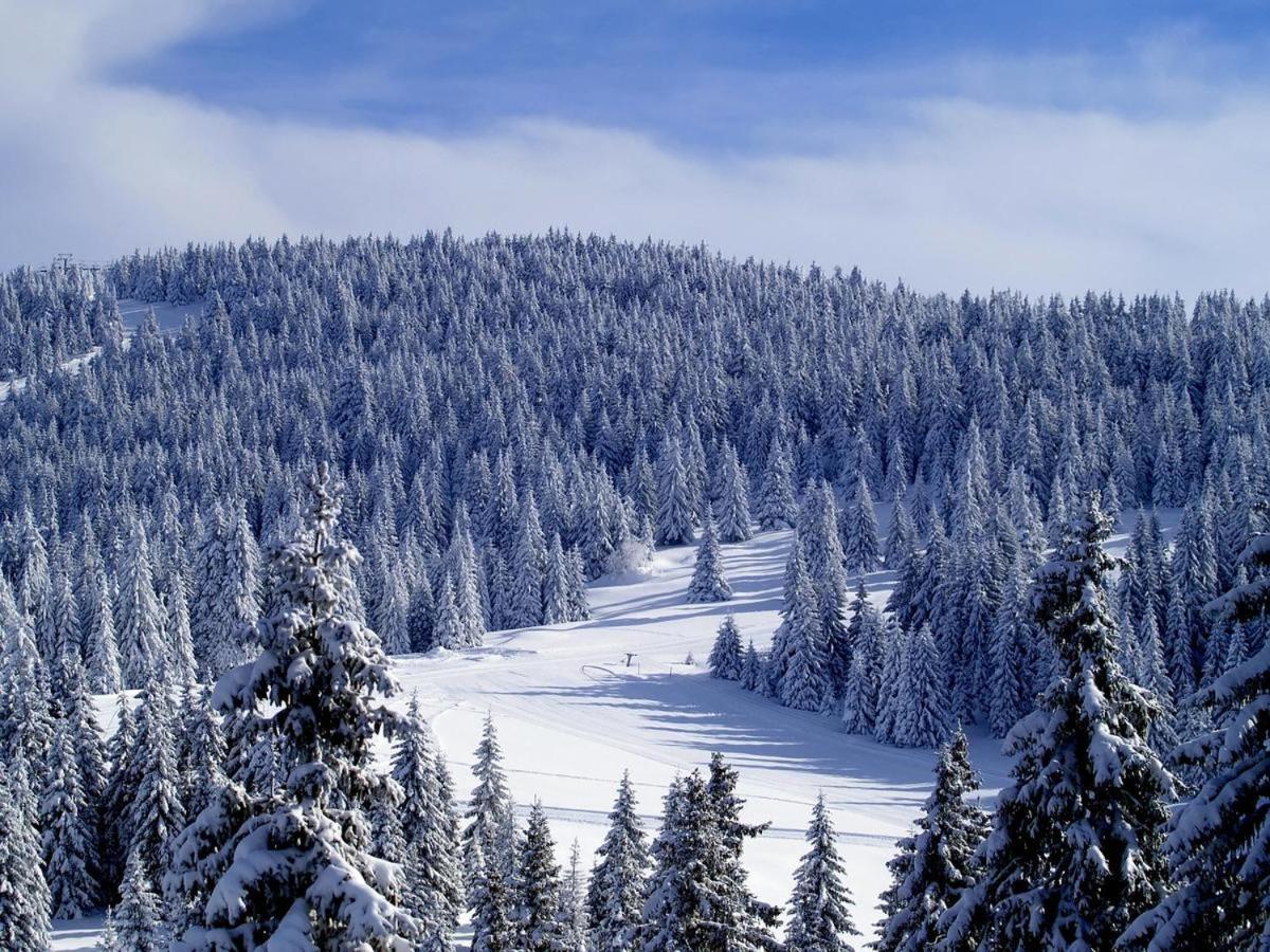 As Lux Apartmani Kopaonik Exterior photo